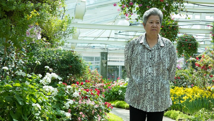 Senior Citizen Area